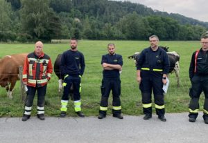 Kaderübung EL1 @ Feuerwehrmagazin Laupen